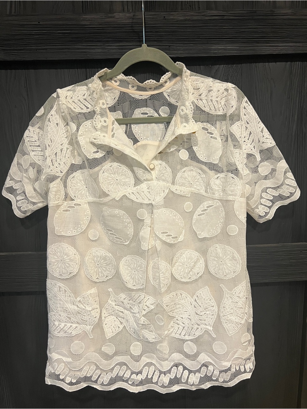 Anthropologie HD in Paris Lemon Lily Lace Blouse, size 14